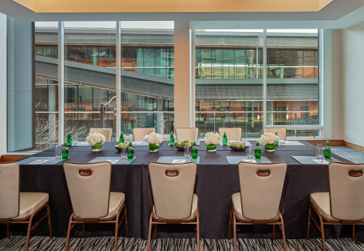 Opal Room Meeting Space