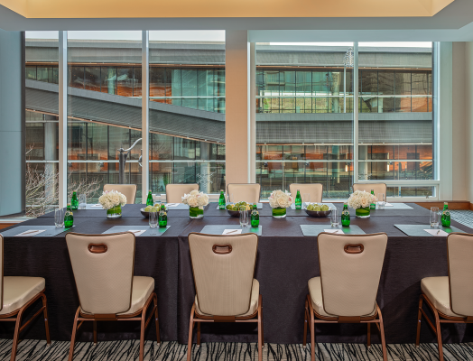 Opal Room Meeting Space