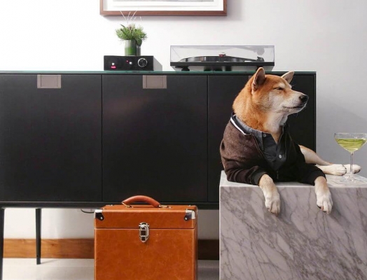 Dog Friendly Vancouver | Pacific Rim Life