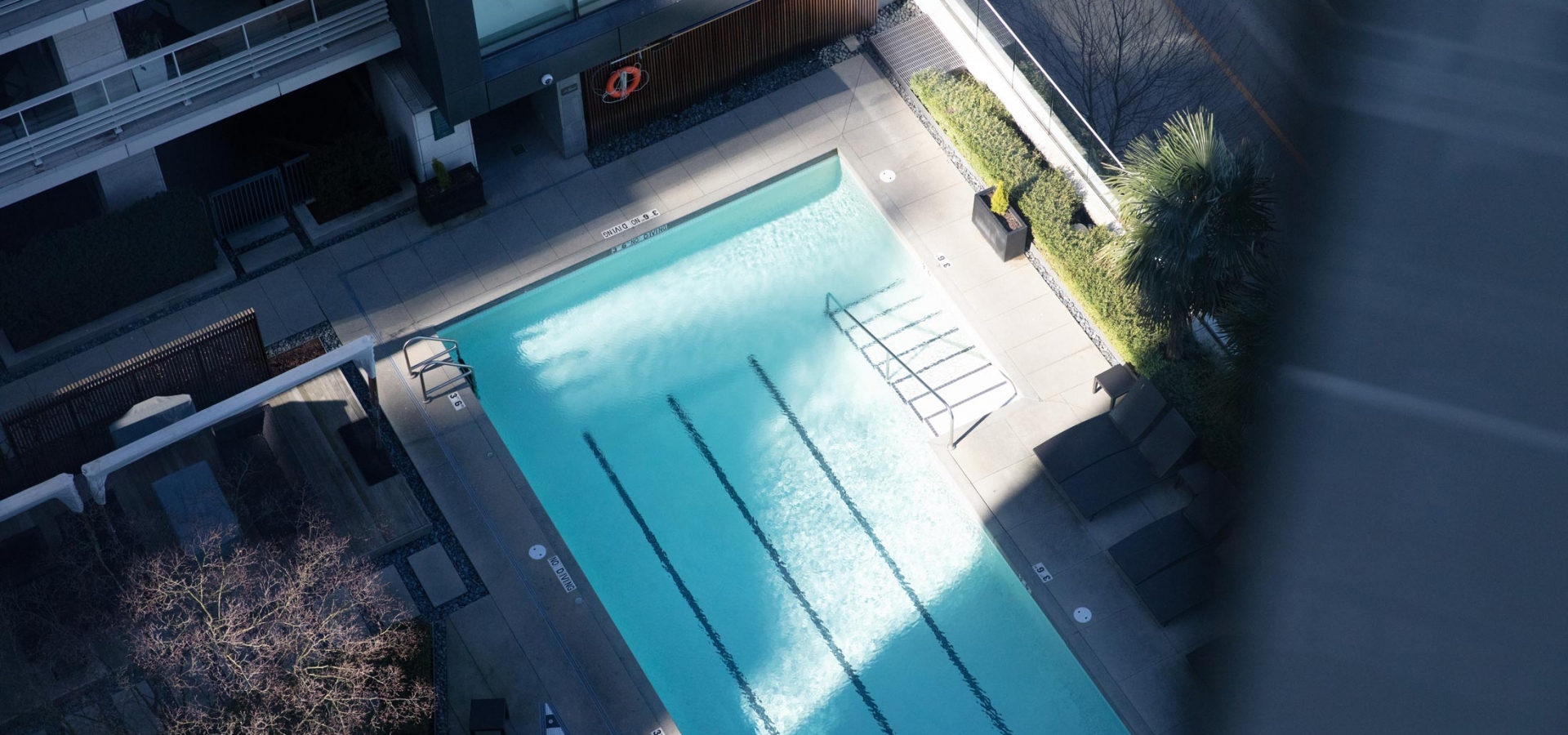 Rooftop Pool