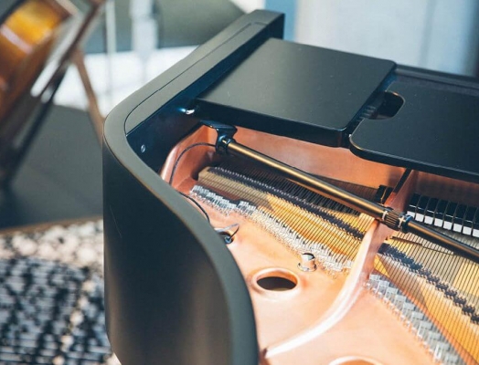 The inside of a grand piano.