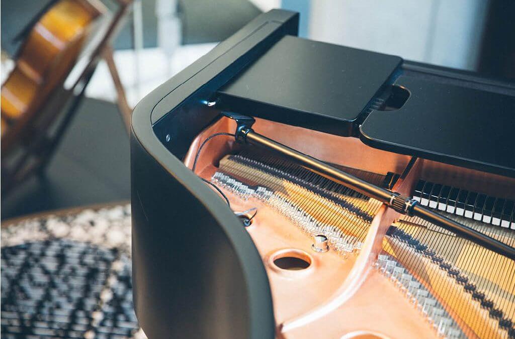 The inside of a grand piano.
