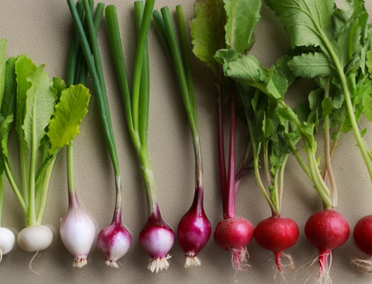 Minimizing Food Waste at Fairmont Pacific Rim