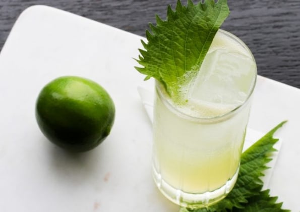 mohito and lime