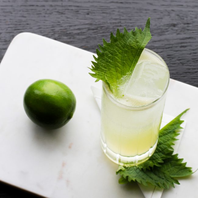 mohito and lime