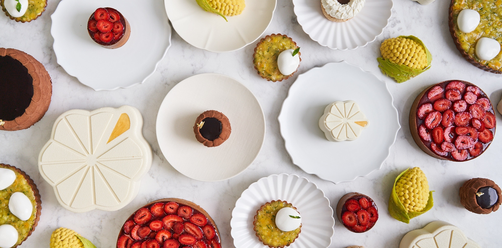 Botanist Collaborations 6