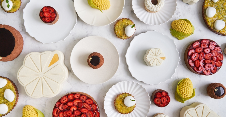 Botanist Collaborations 6