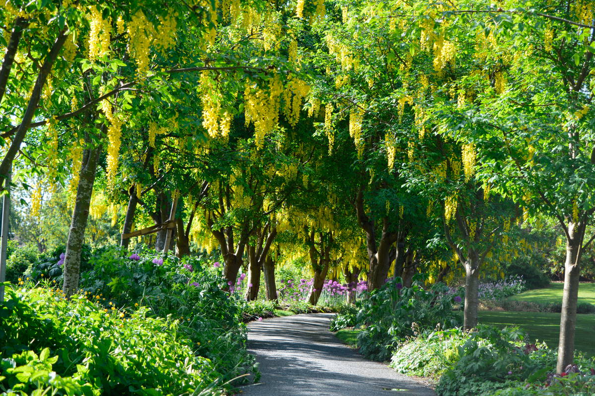 Vandusen Garden during spring in Vancouver