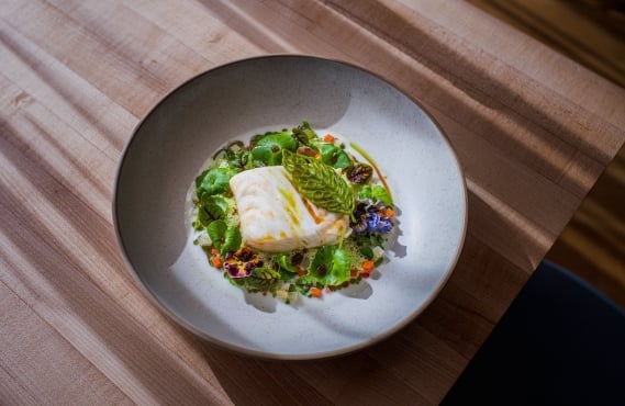 Halibut dish on the new spring menu at restaurant in Vancouver